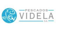 logos web ized (18)